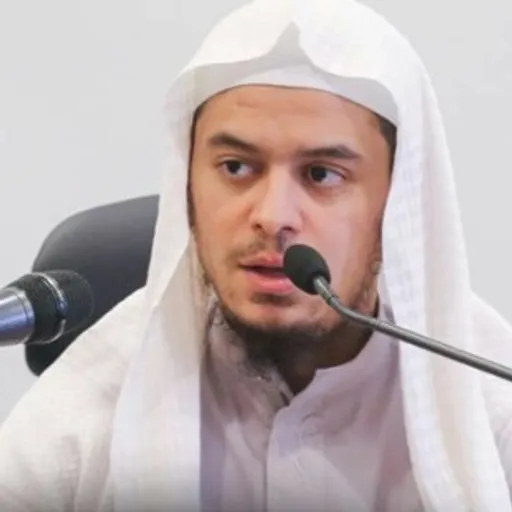 عامر بهجت